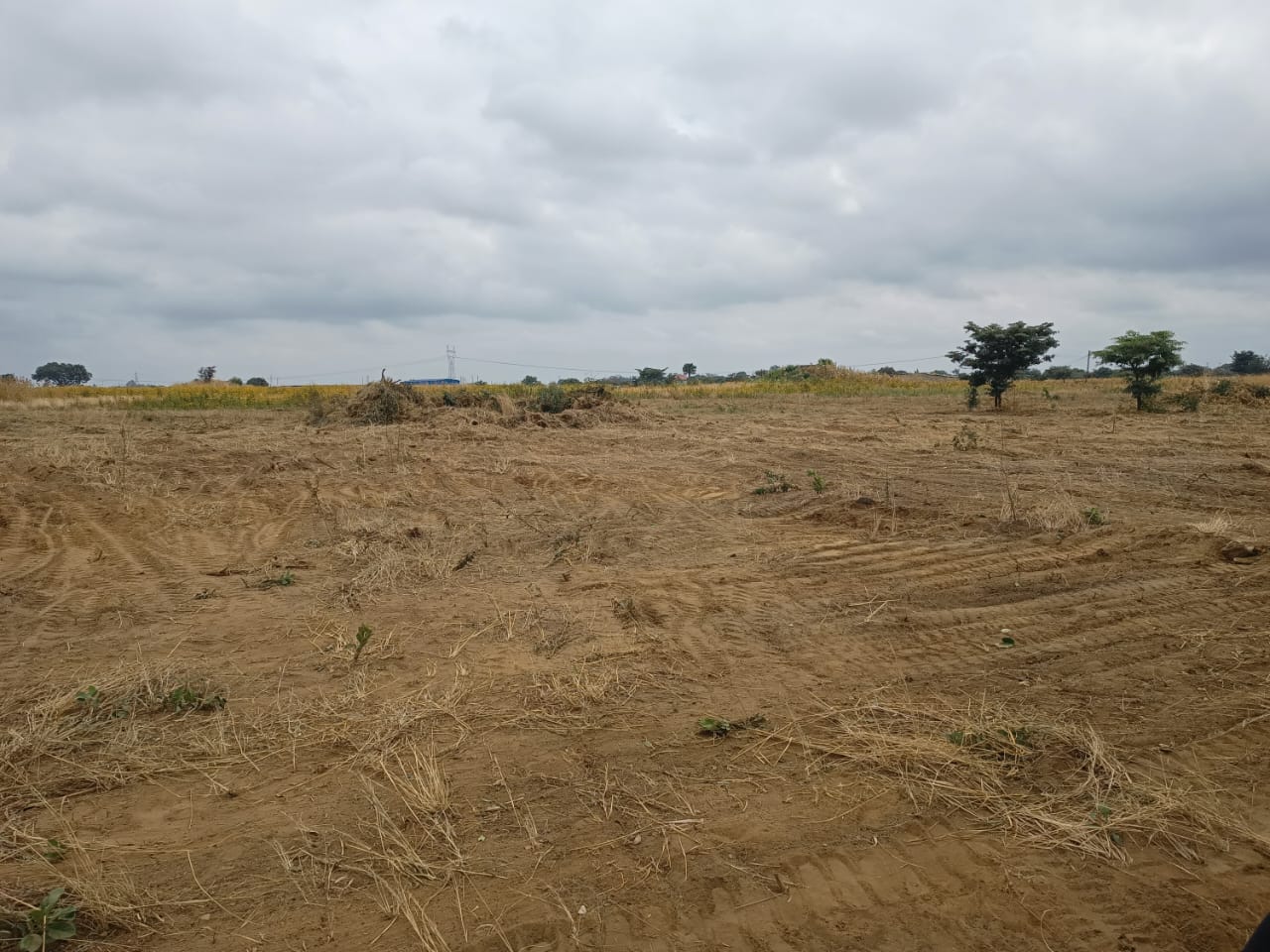 Plot View – Angle 2